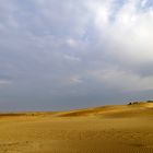 Plage de l´Espiguette