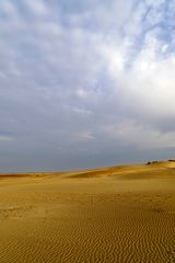 Plage de l´Espiguette