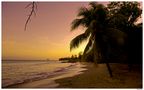 Plage de Martinique. de ApollonZeus 