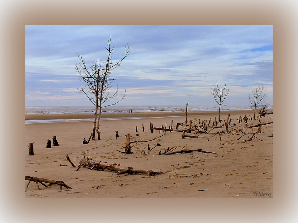 Plage de Maumusson