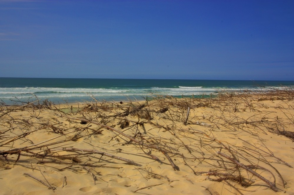 Plage de MIMIZAN