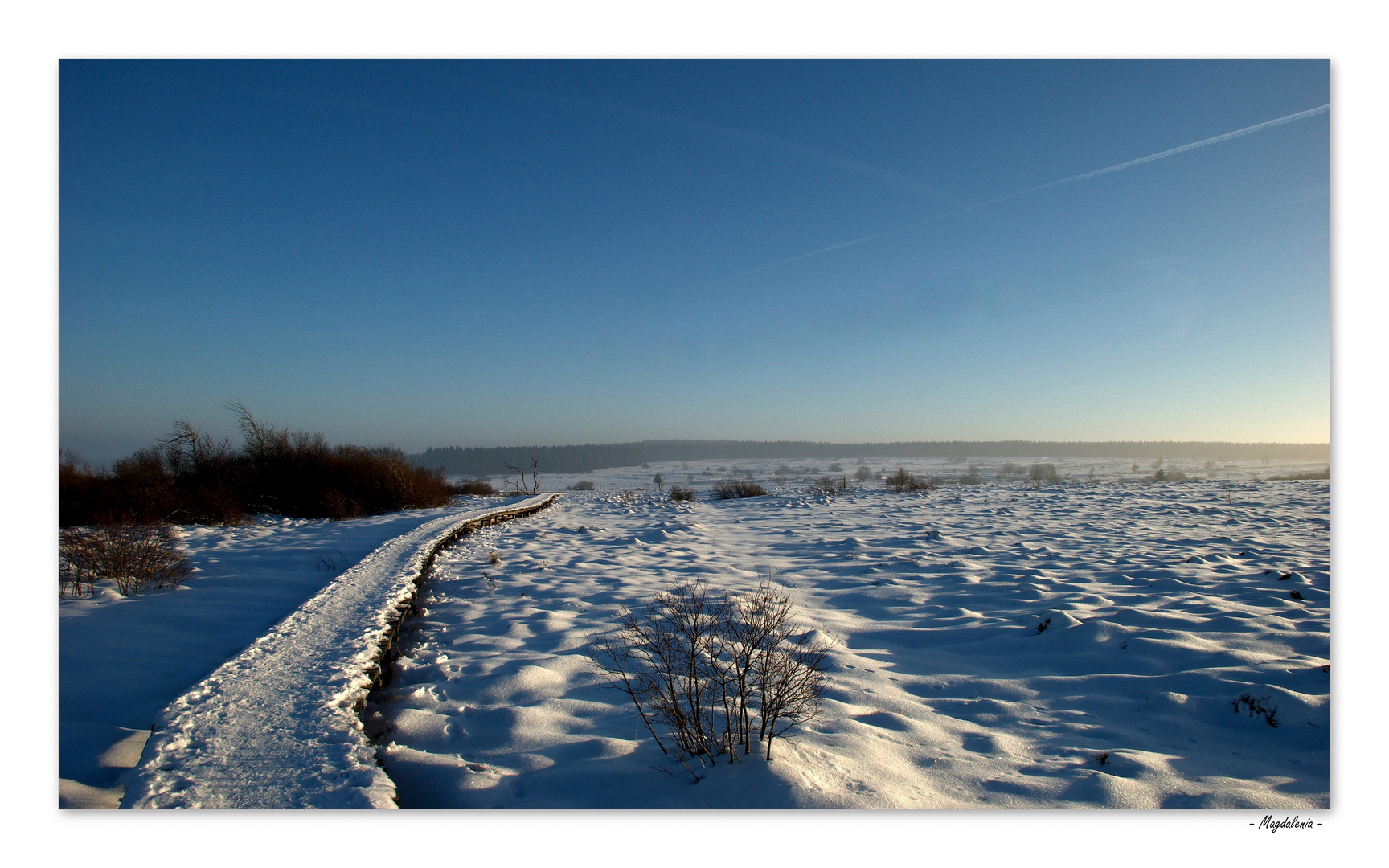 Plage de neige