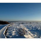 Plage de neige