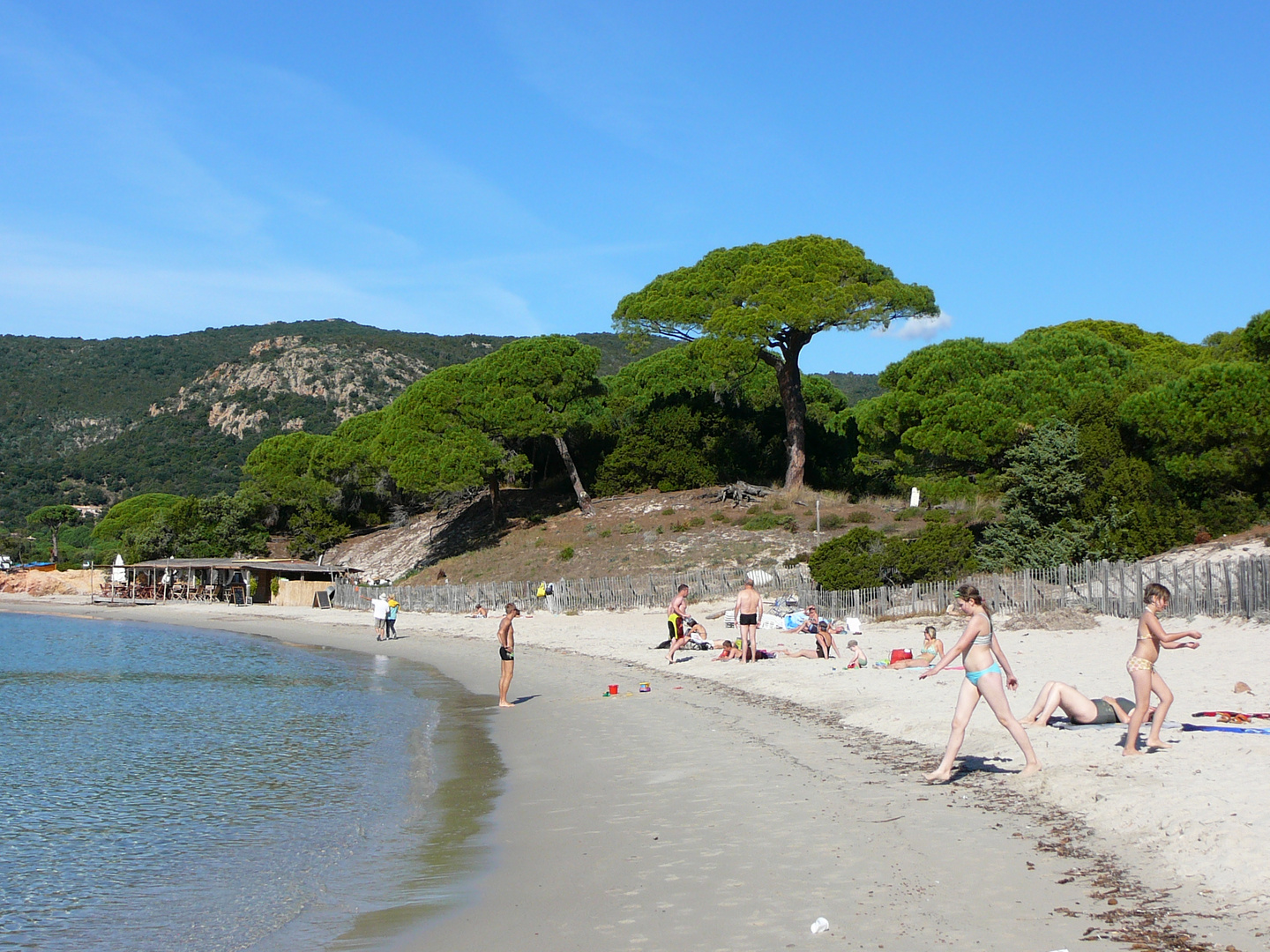 plage de Palumbaggia en Corse