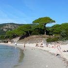 plage de Palumbaggia en Corse