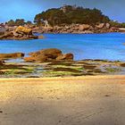 Plage de Ploumanach / Côtes d'Armor