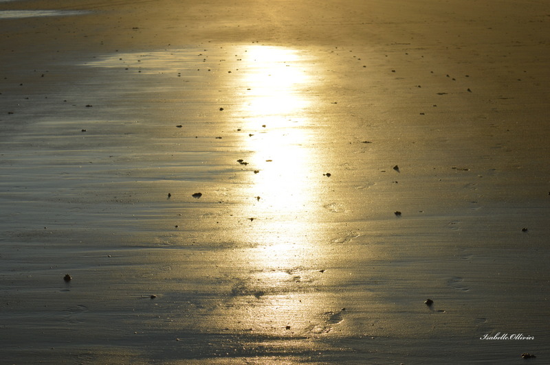 Plage de Royan  