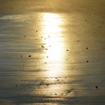 Plage de Royan  