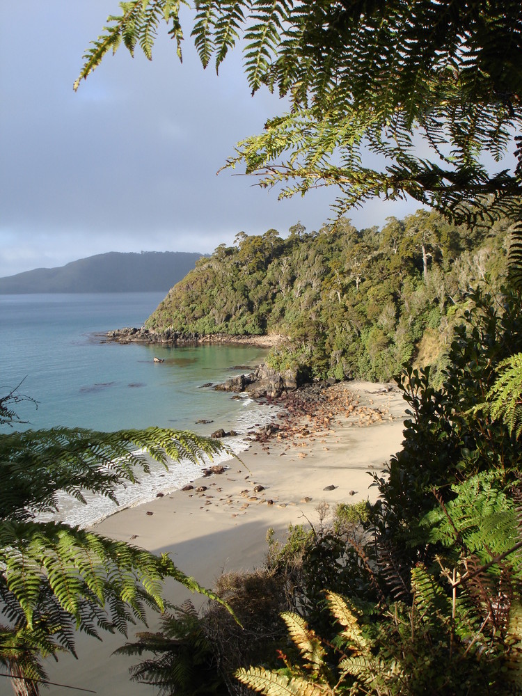 Plage de rêve au bout du monde