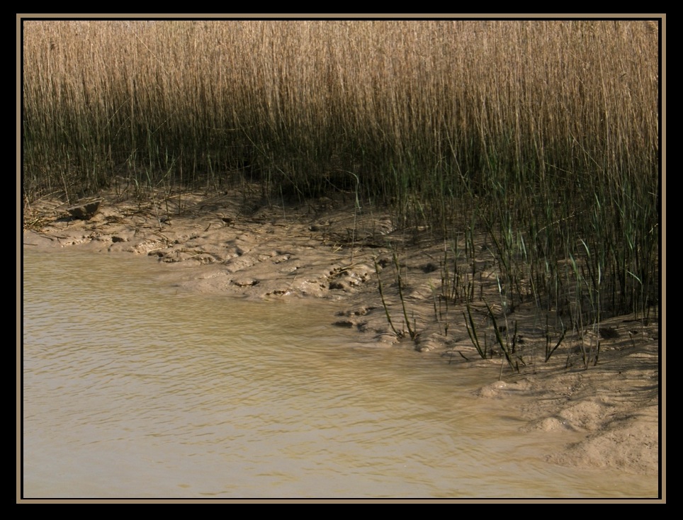 Plage de sable fin