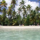 plage de ste anne (martinique)