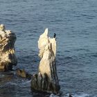 Plage de Terrasini - Sicile