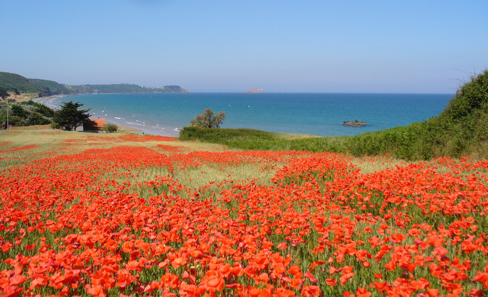 plage d'Erquy