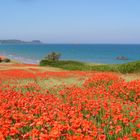 plage d'Erquy