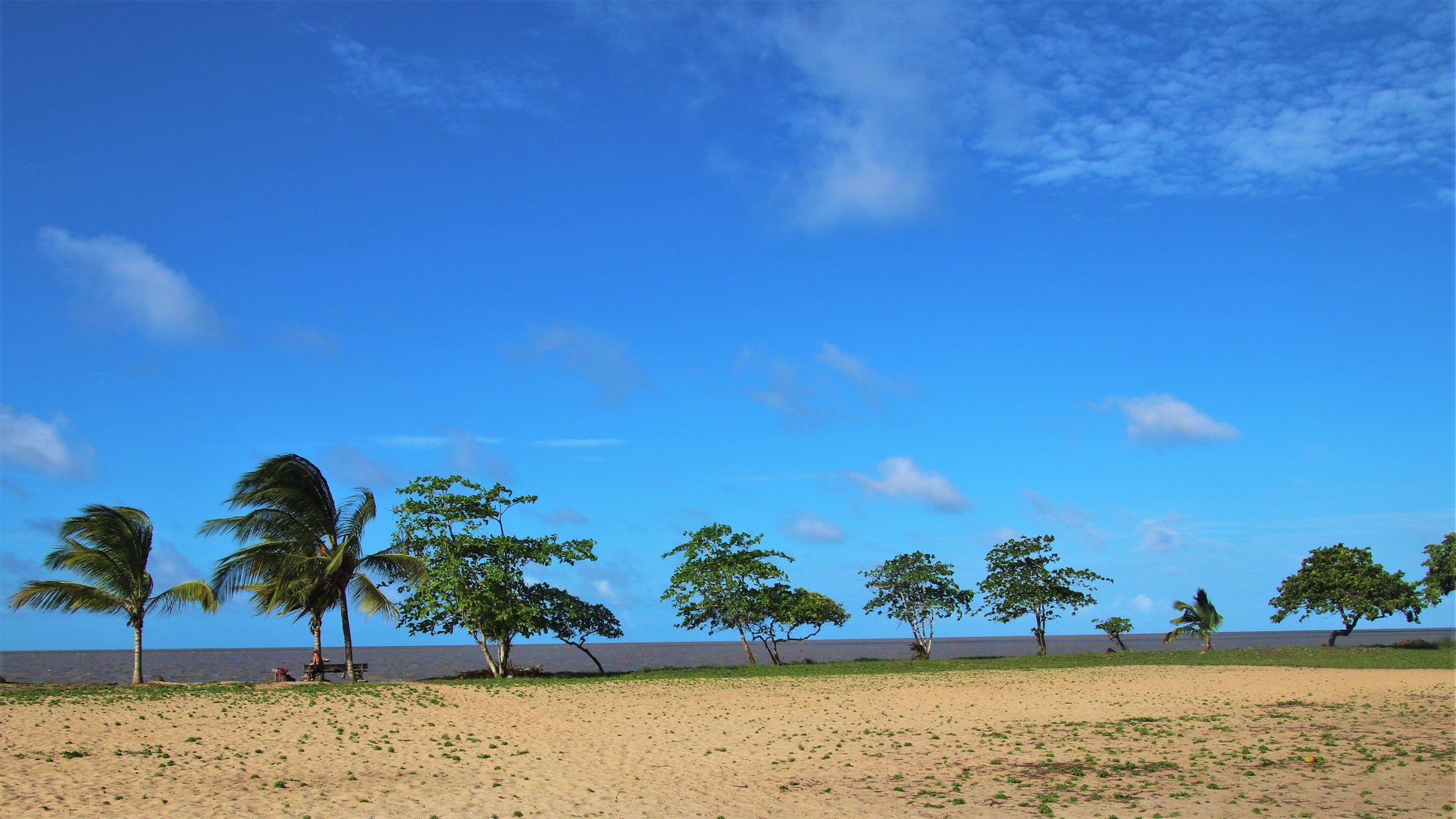 Plage des Hattes