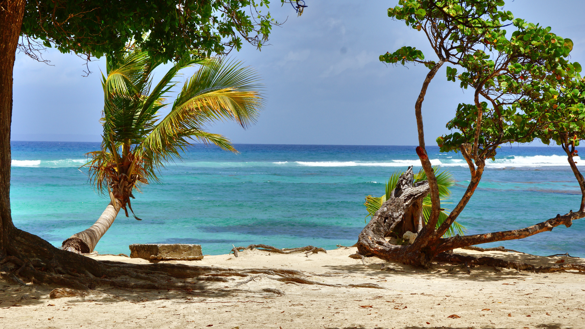 Plage des Raisins Clairs