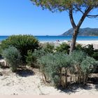 Plage des Sablettes