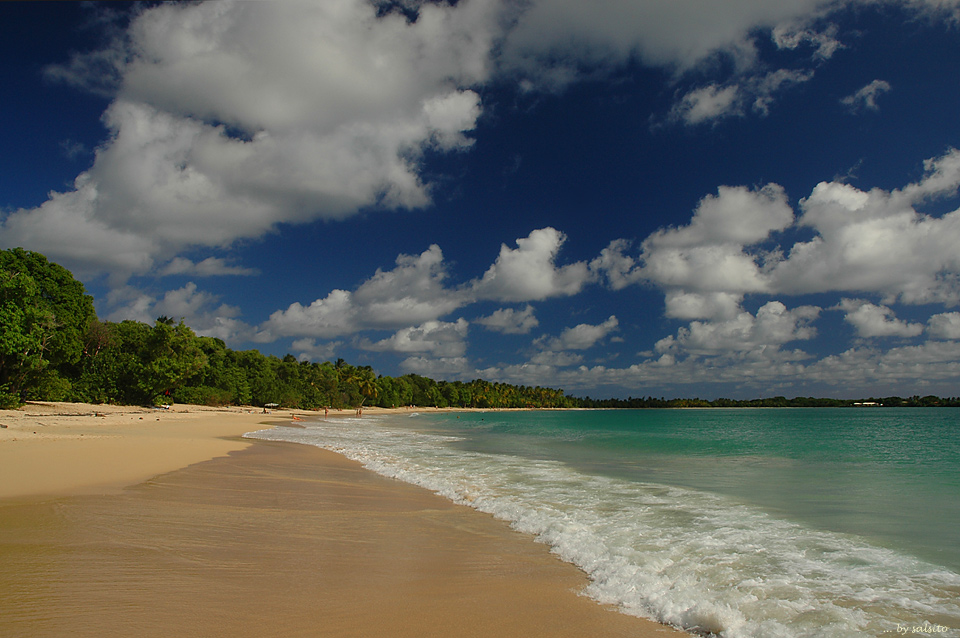 Plage des Salines -Martinique