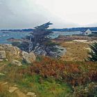 Plage des Voleurs bei Port Blanc , Bretagne