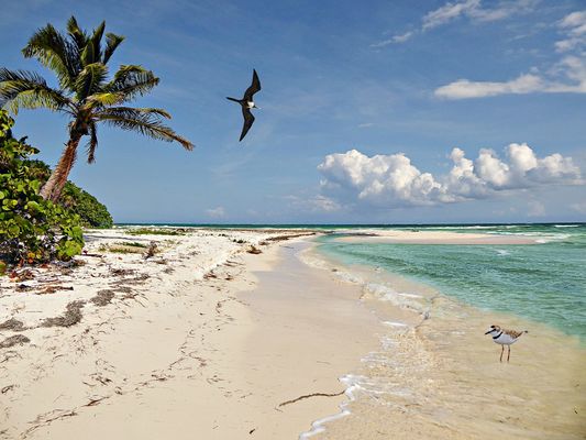Riviera Maya Pictures Photos