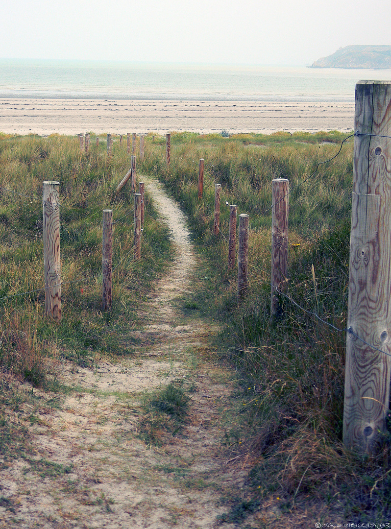 Plage d'Hillion