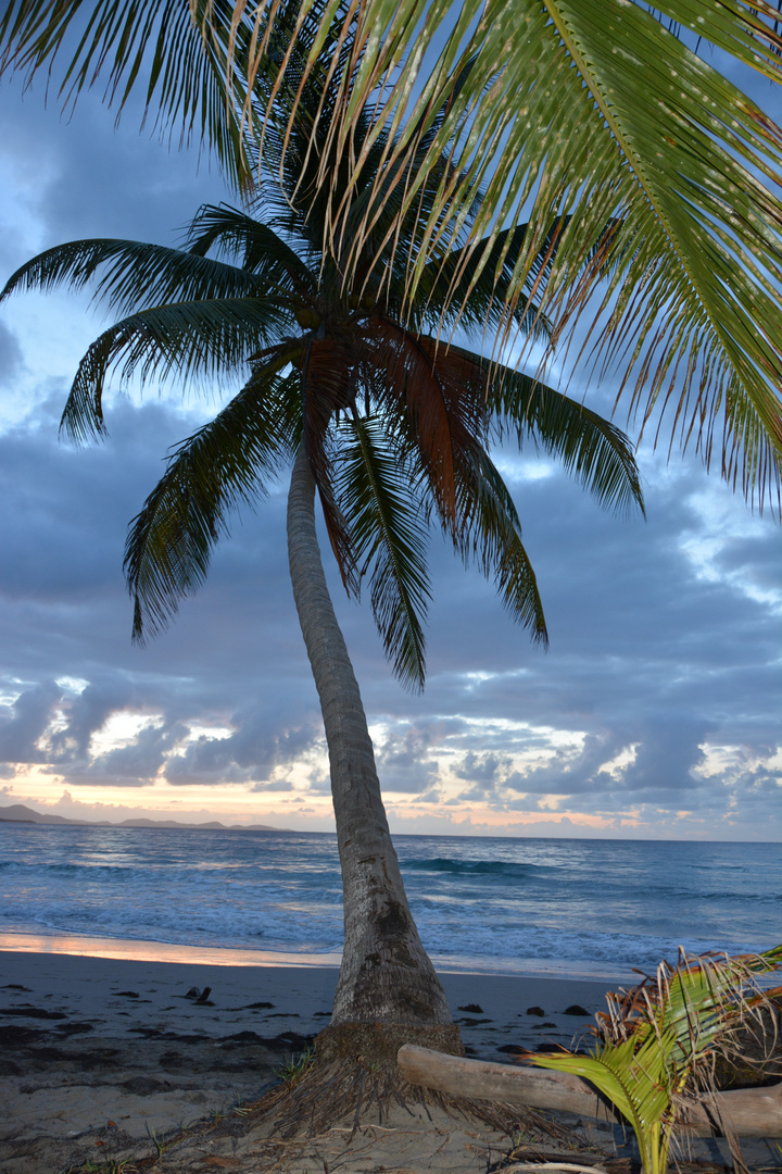 plage du diamant Martinique