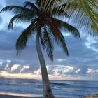 plage du diamant Martinique