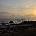 Plage du goudoul