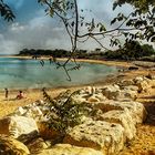 plage du Gros Jonc - nord de l'Ile de Ré....