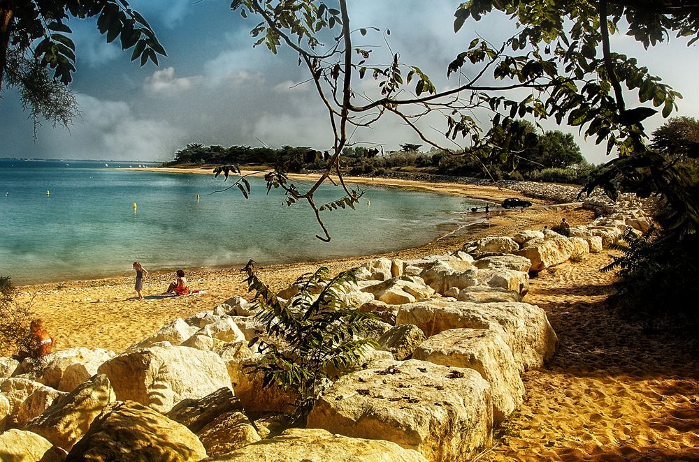 plage du Gros Jonc - nord de l'Ile de Ré....