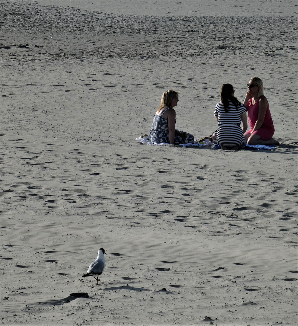 Plage du soir