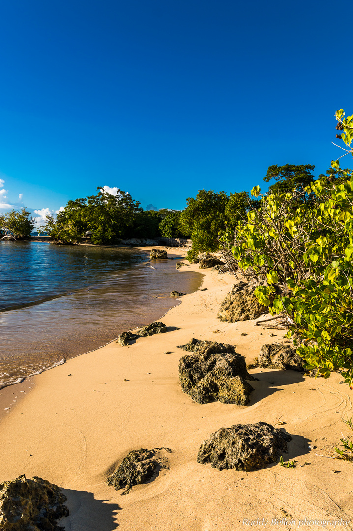 Plage du Souffleur coté mangrove