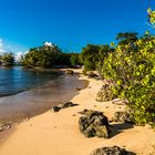 Plage du Souffleur coté mangrove