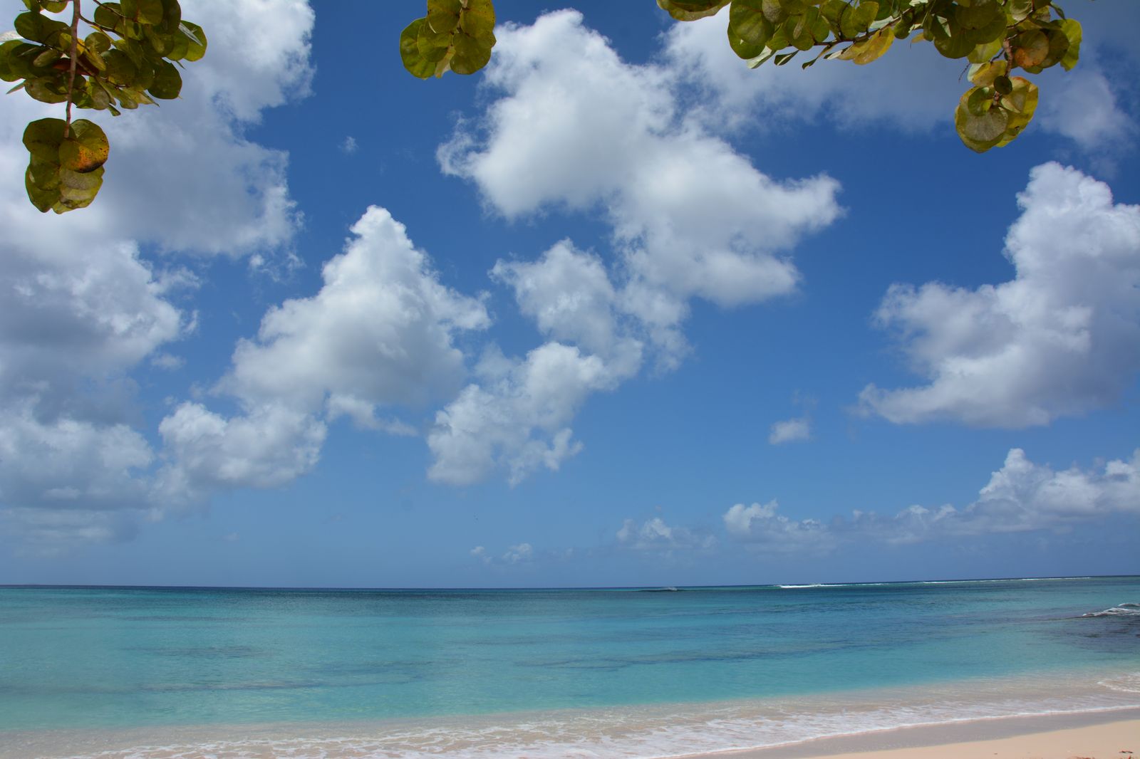 Plage du Souffleur Guadeloupe