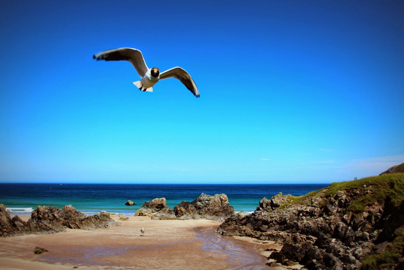 Plage écossaise