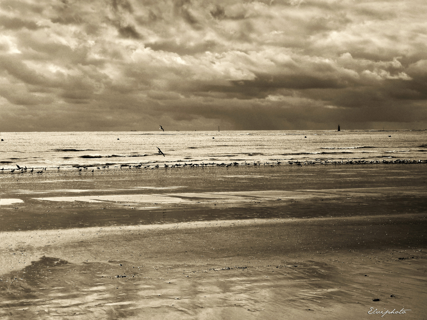 Plage en monochrome