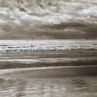 Plage en monochrome