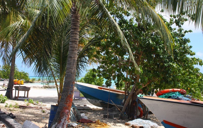 Plage éxotique