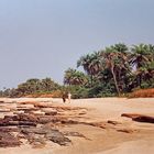 Plage guinéenne à marée basse