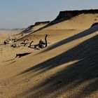 plage Labenne