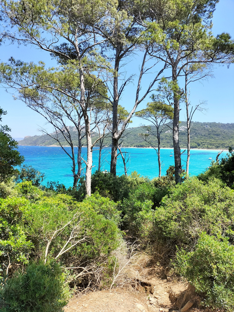 Plage Notre Dame, île de Porquerolles, France 