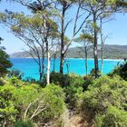 Plage Notre Dame, île de Porquerolles, France 