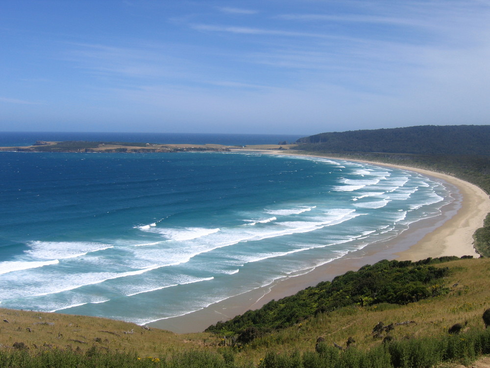 plage paradisiaque des catlins