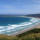 plage paradisiaque des catlins