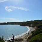 plage, Porquerolles