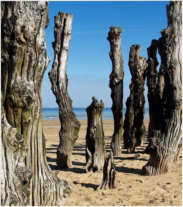 Plage: Saint Malo