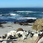 plage sauvage de Pebble