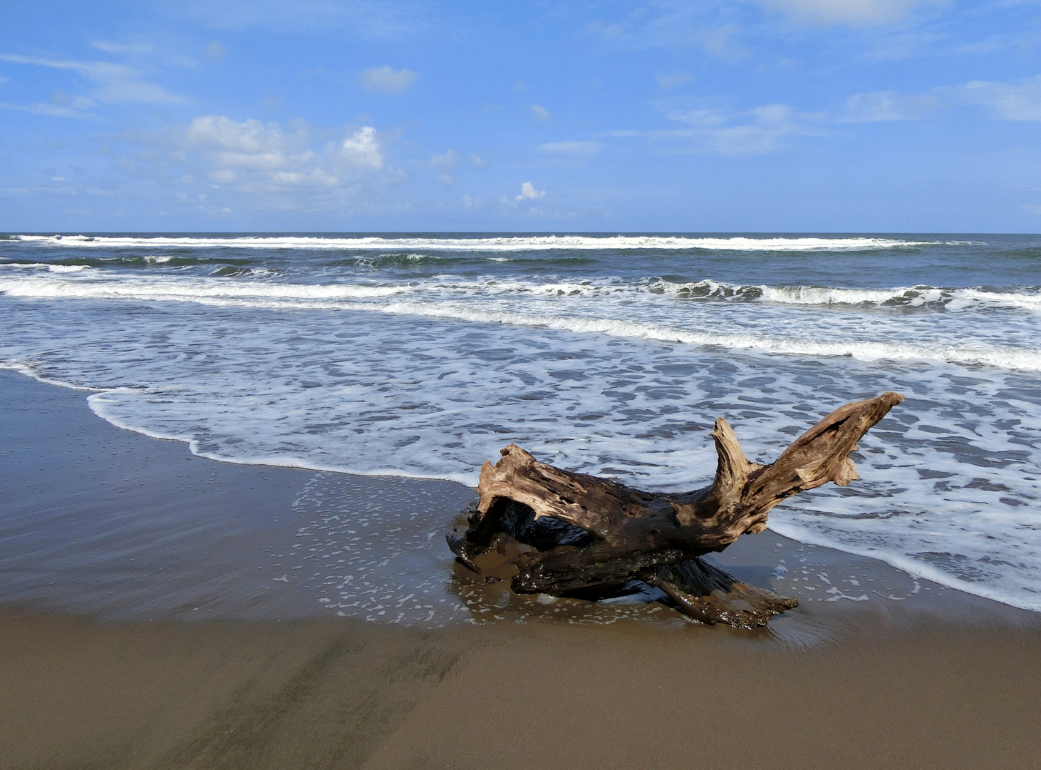 plage sauvage des Caraïbes