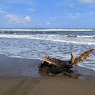 plage sauvage des Caraïbes