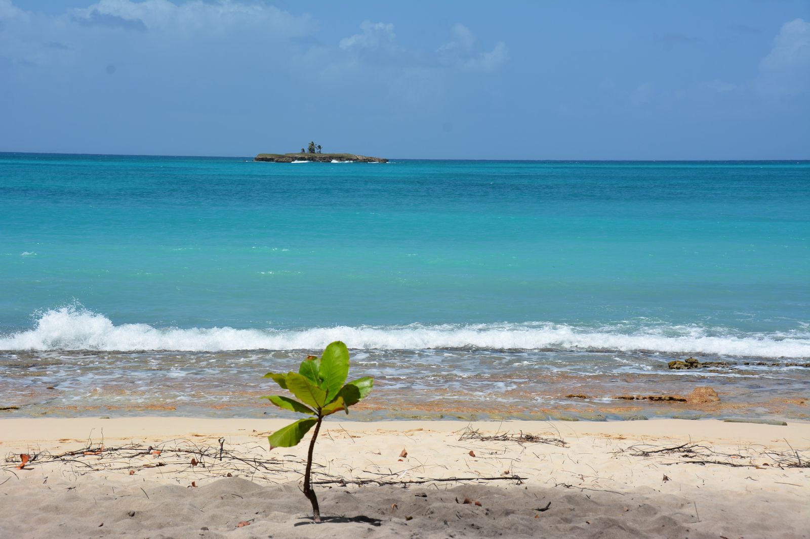 Plage sur l'île de Marie Galante